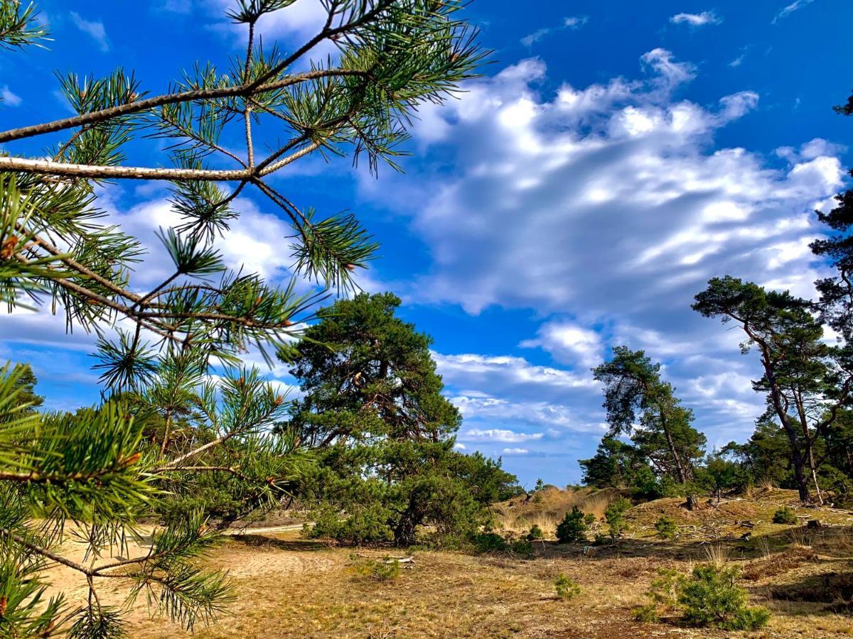 אוטרלו De Wollige Hooglander: In Comfort Middenin Natuur מראה חיצוני תמונה